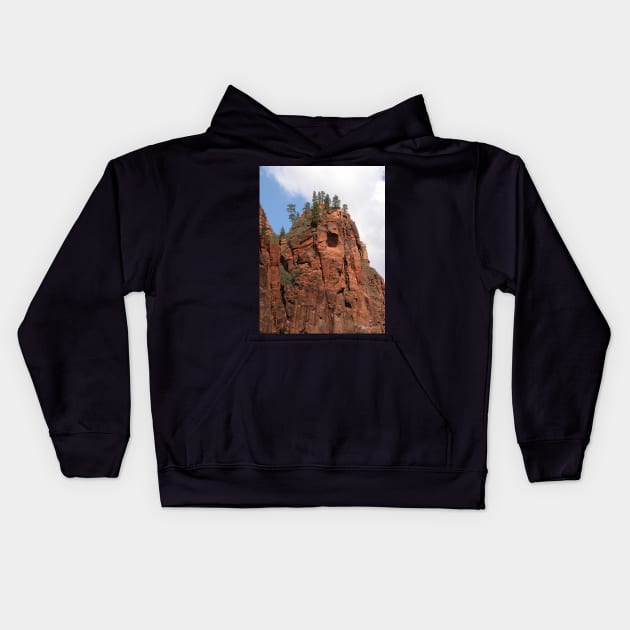 Pines Atop Red Rock Kids Hoodie by MarkArTurner